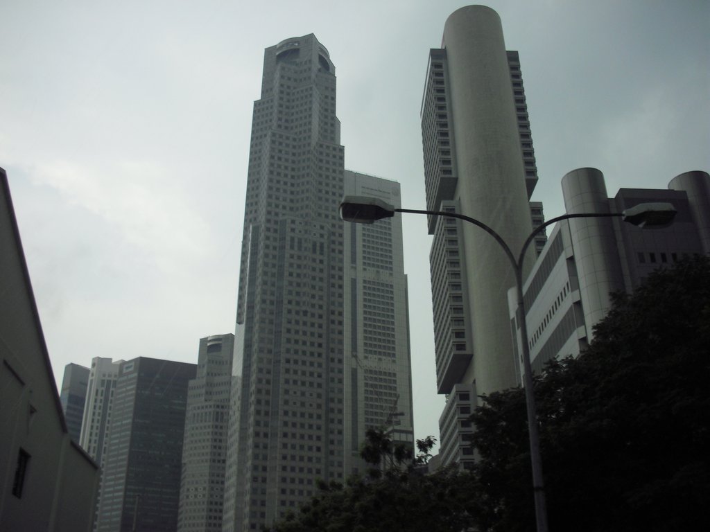 Image CIMG5199.JPG