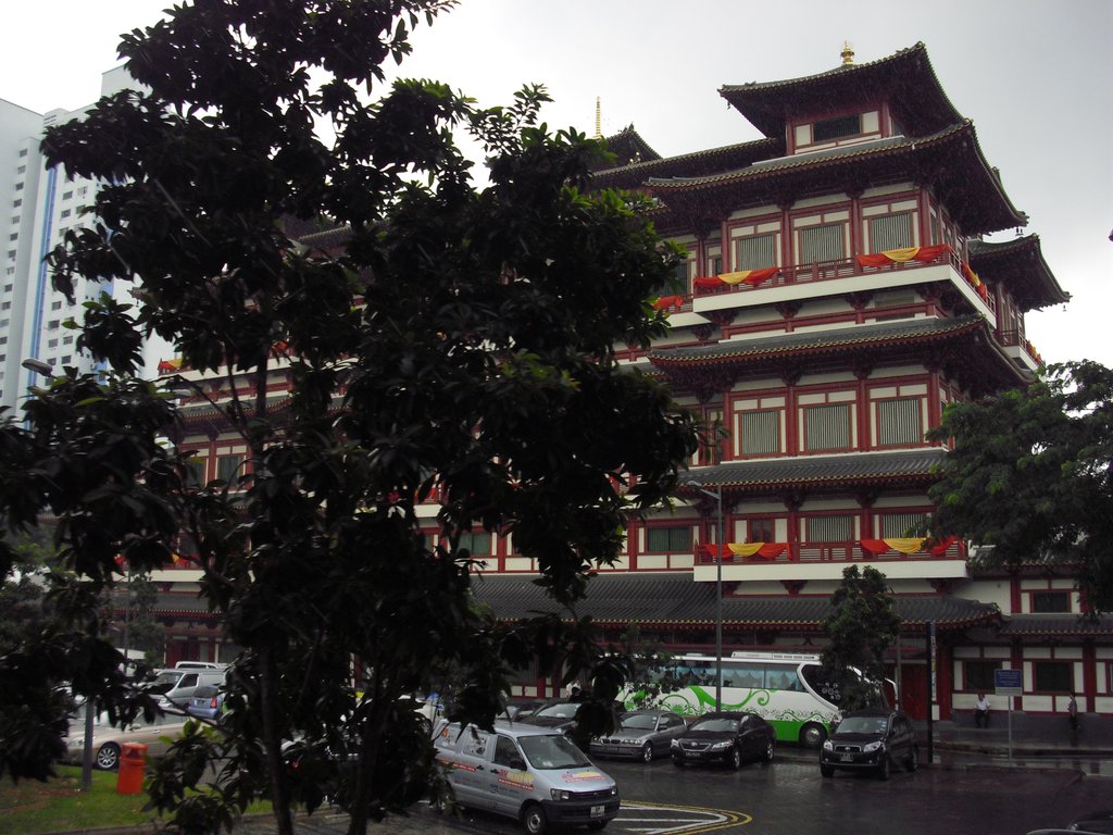 Image CIMG5201.JPG