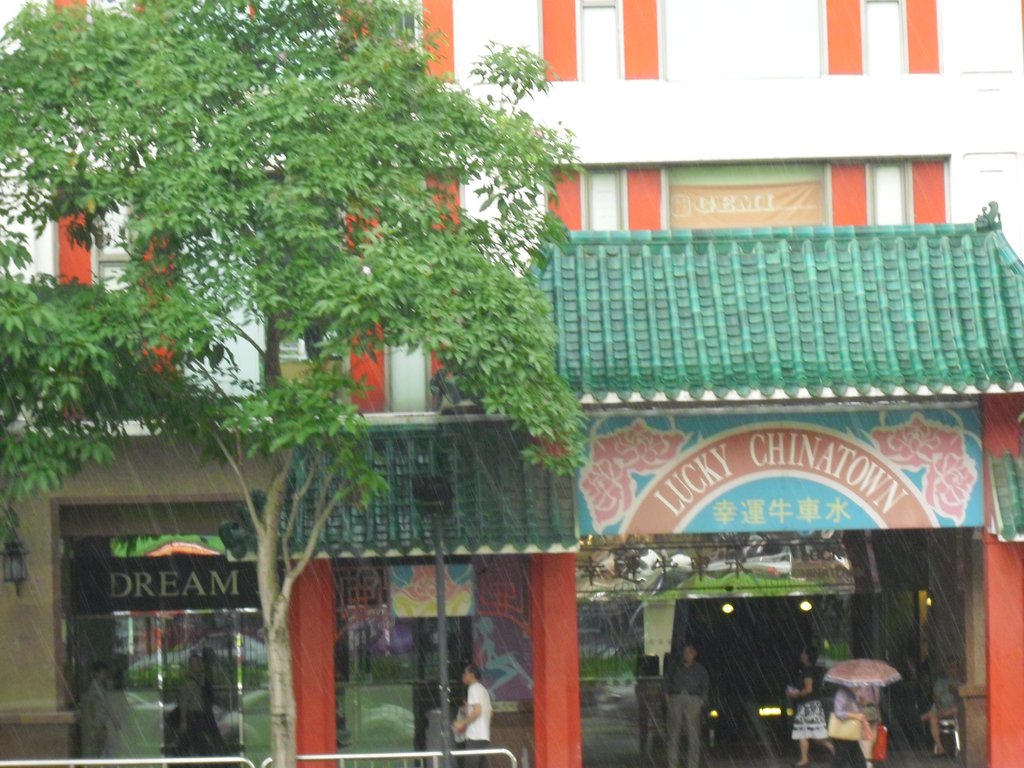 Image CIMG5205.JPG