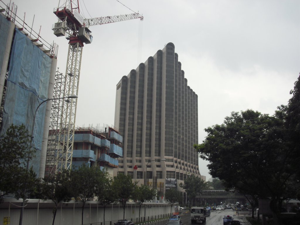 Image CIMG5208.JPG