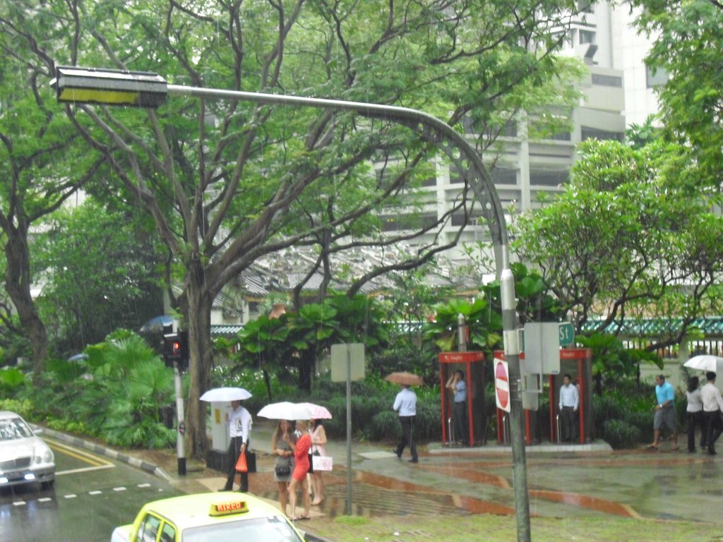 Image CIMG5209.JPG
