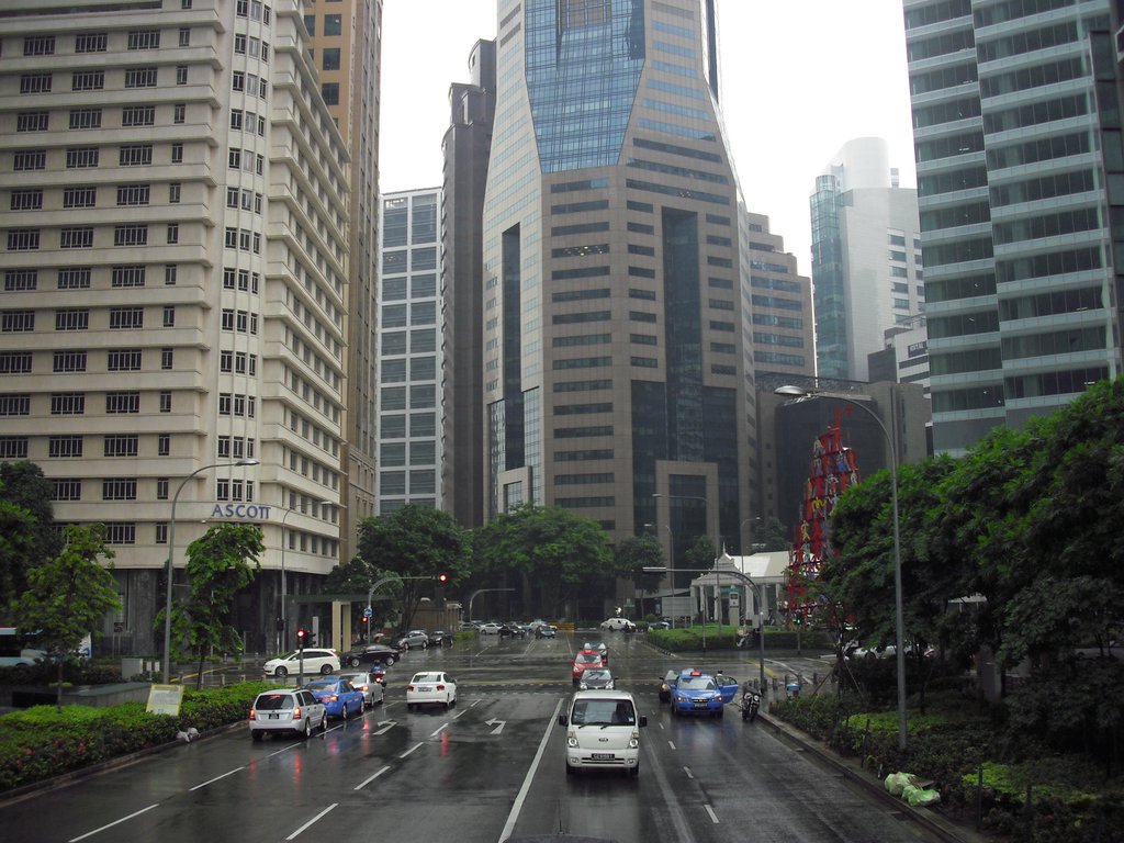 Image CIMG5211.JPG