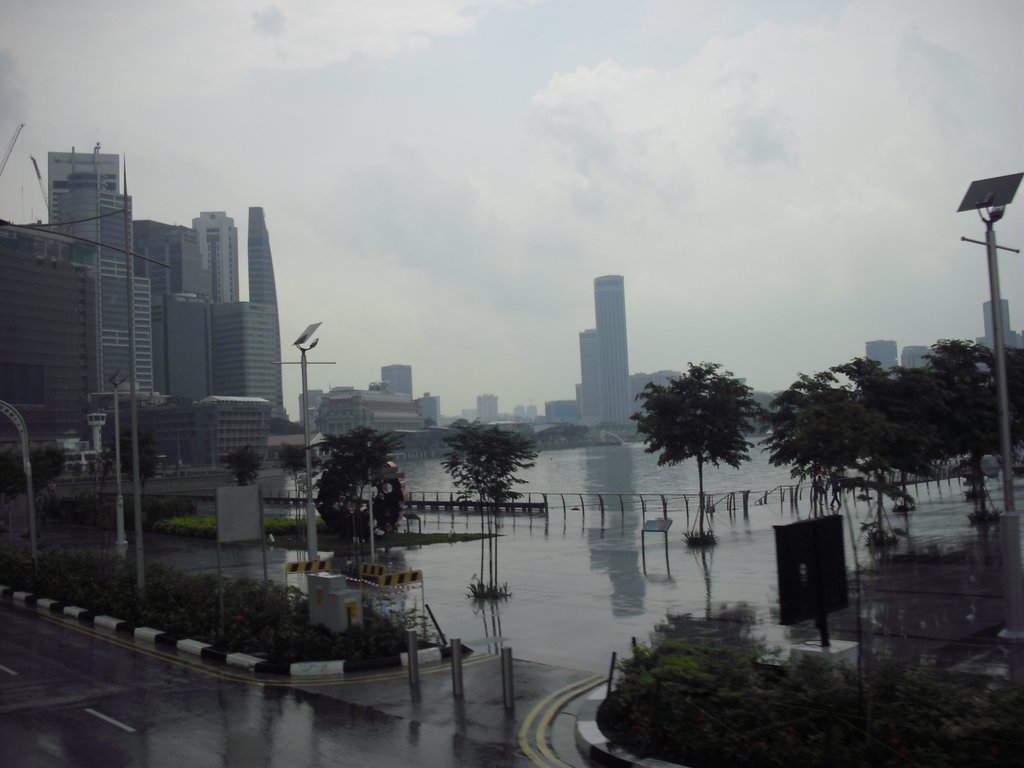 Image CIMG5214.JPG