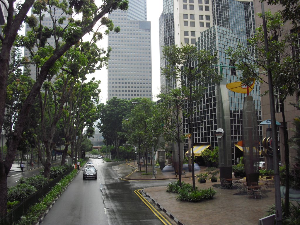 Image CIMG5226.JPG