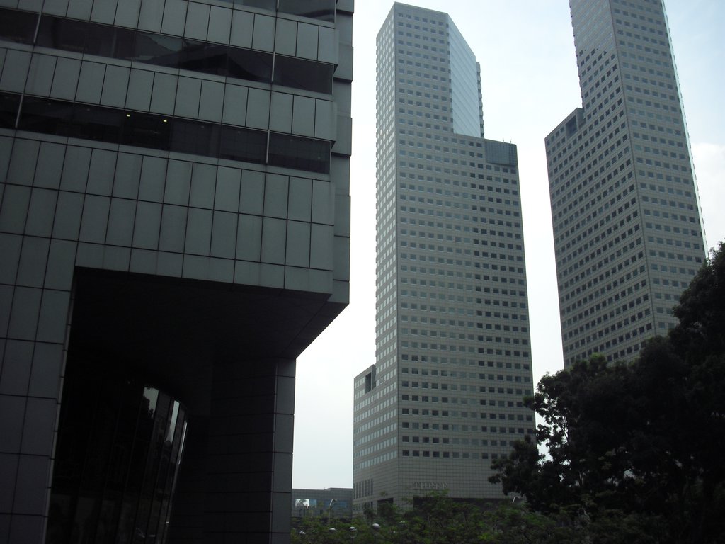 Image CIMG5229.JPG