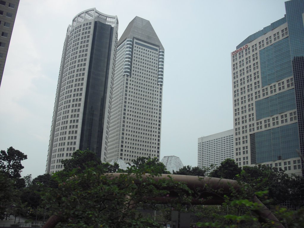 Image CIMG5231.JPG