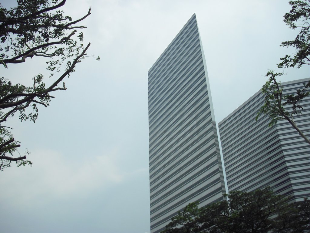 Image CIMG5243.JPG