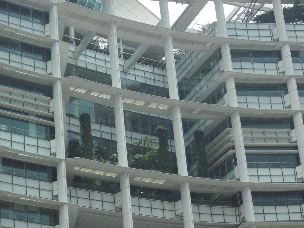 Image CIMG5246.JPG