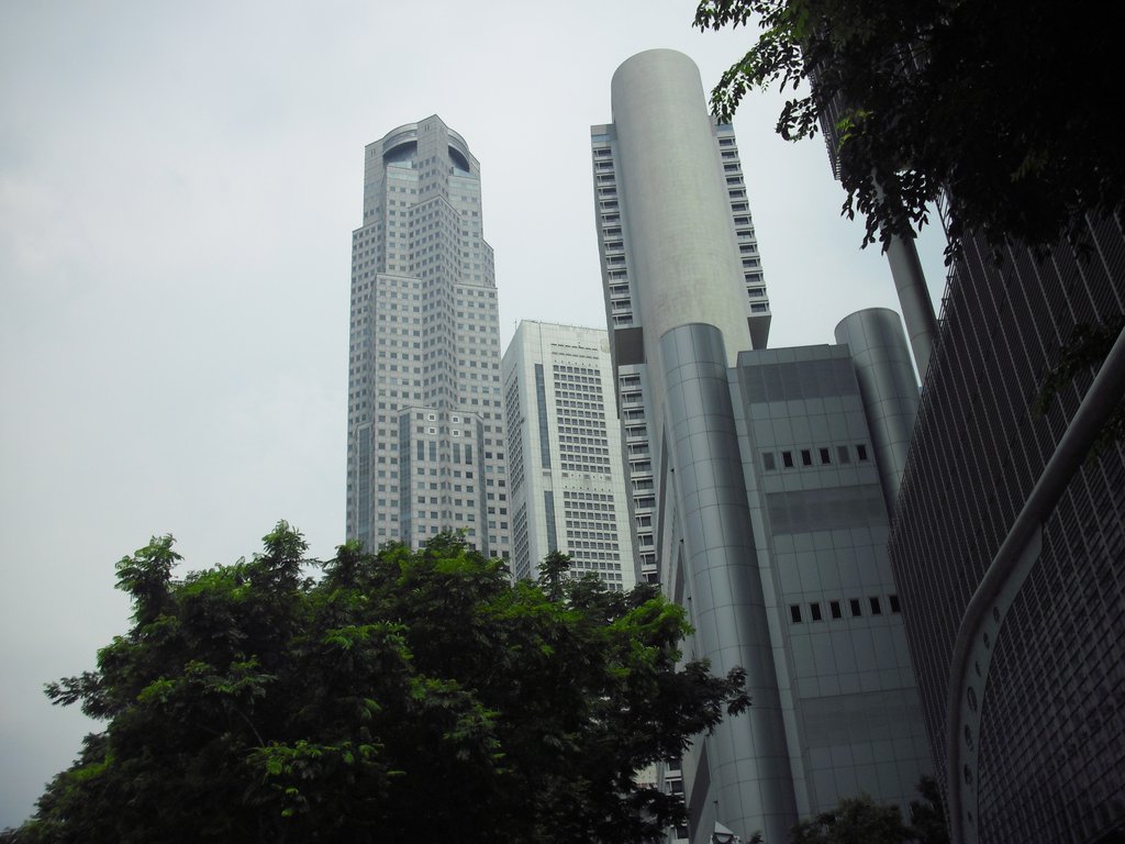 Image CIMG5250.JPG
