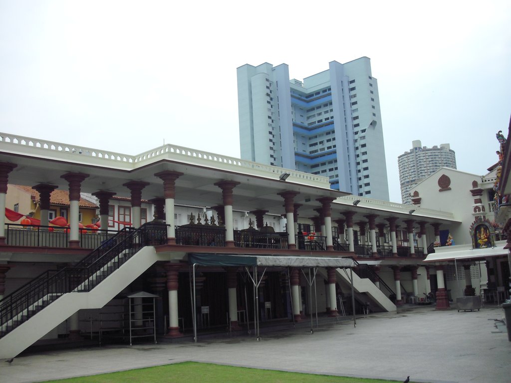 Image CIMG5259.JPG