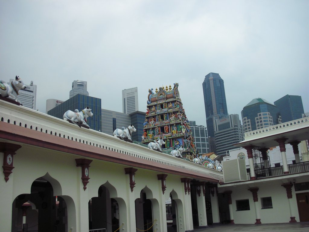 Image CIMG5261.JPG