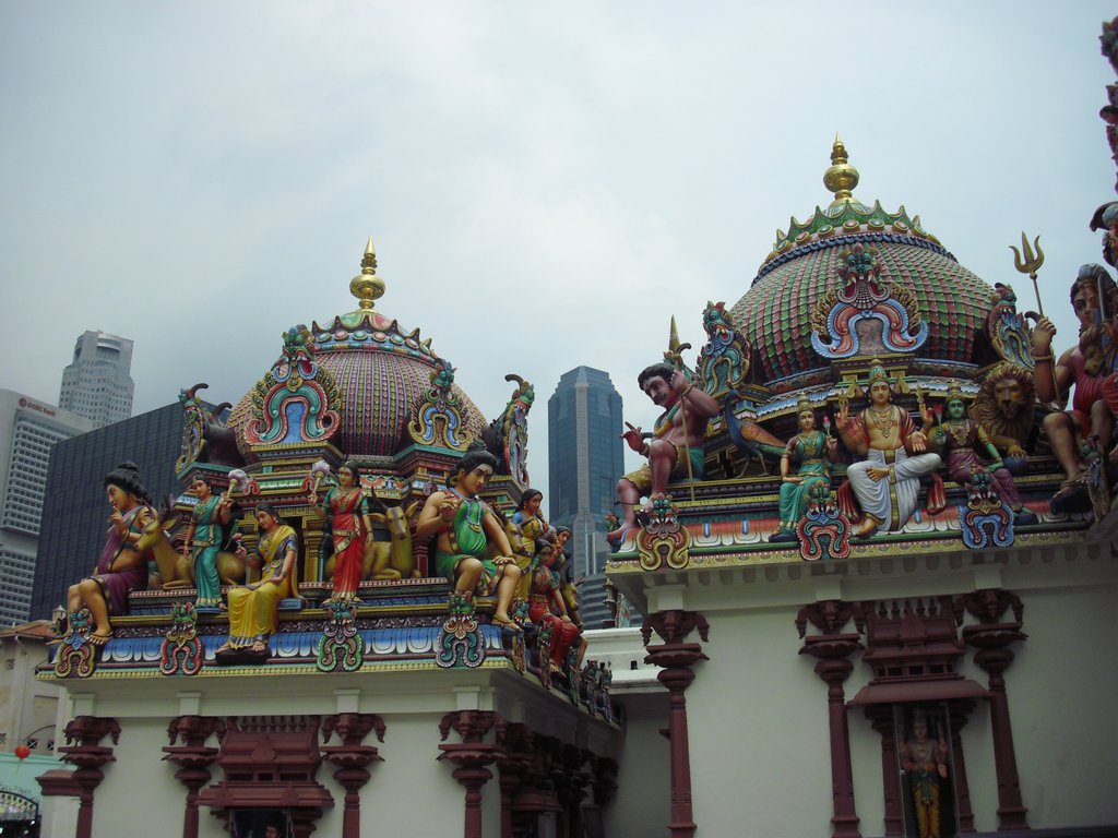 Image CIMG5269.JPG