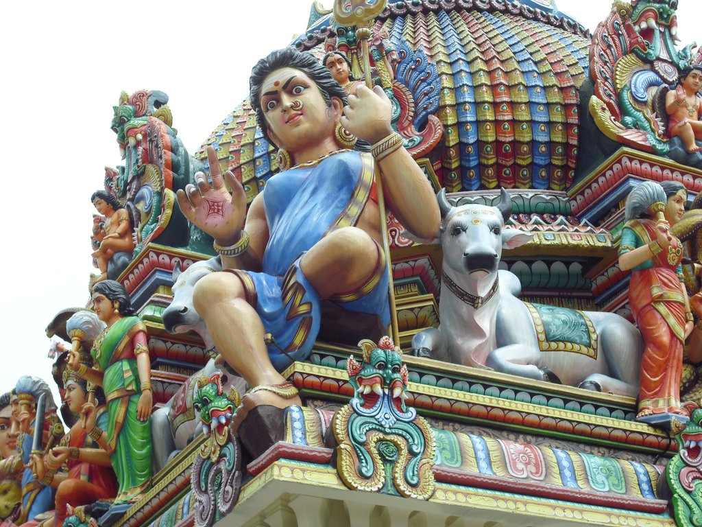Image CIMG5272.JPG