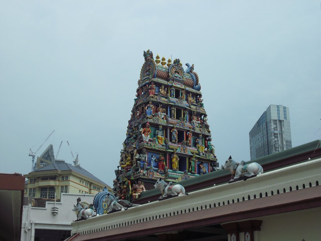Image CIMG5275.JPG