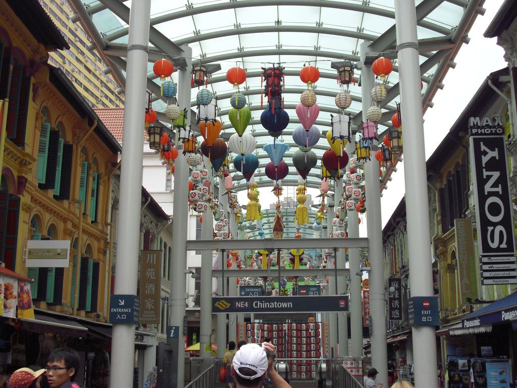 Image CIMG5279.JPG
