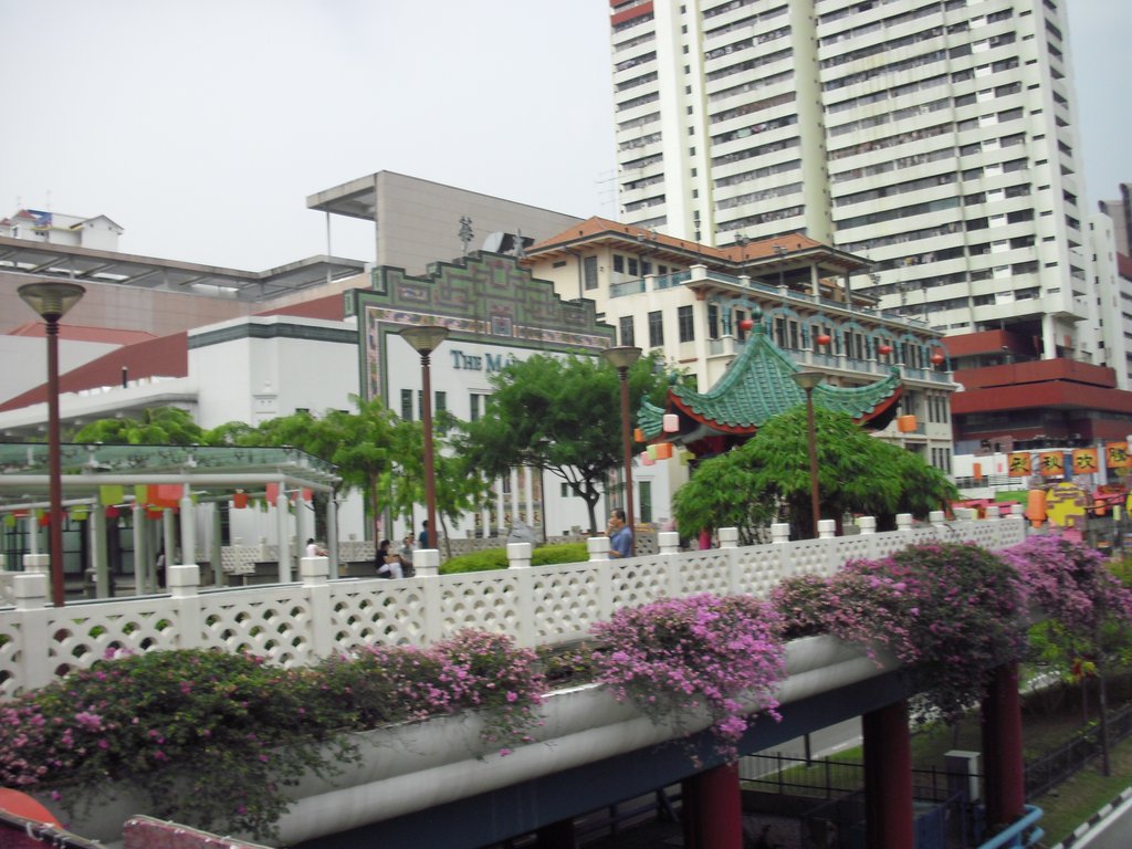 Image CIMG5283.JPG