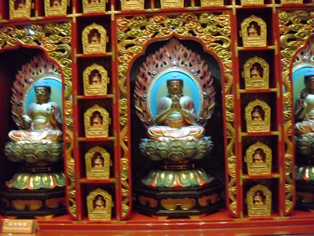 Image CIMG5298.JPG