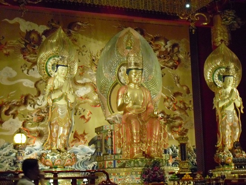 Image CIMG5299.JPG
