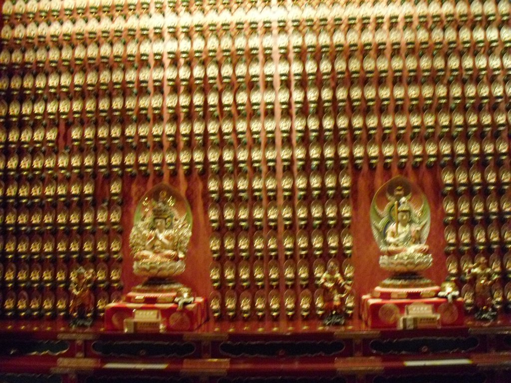 Image CIMG5300.JPG
