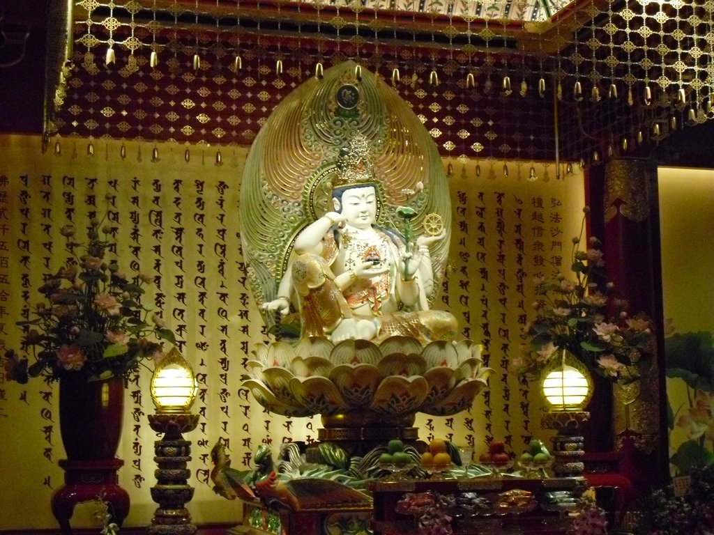 Image CIMG5301.JPG