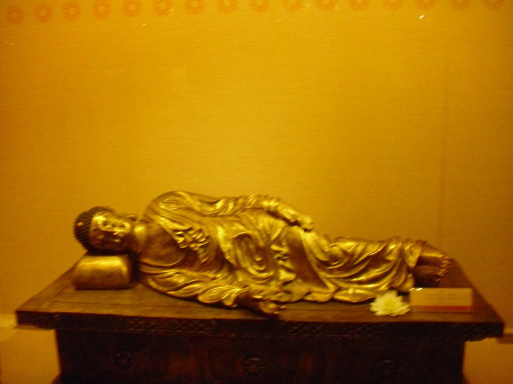 Image CIMG5307.JPG