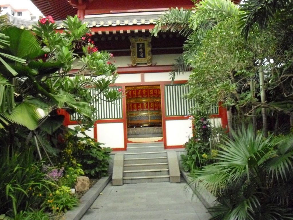 Image CIMG5309.JPG