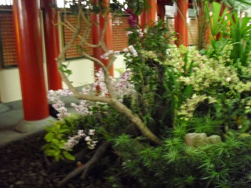 Image CIMG5310.JPG