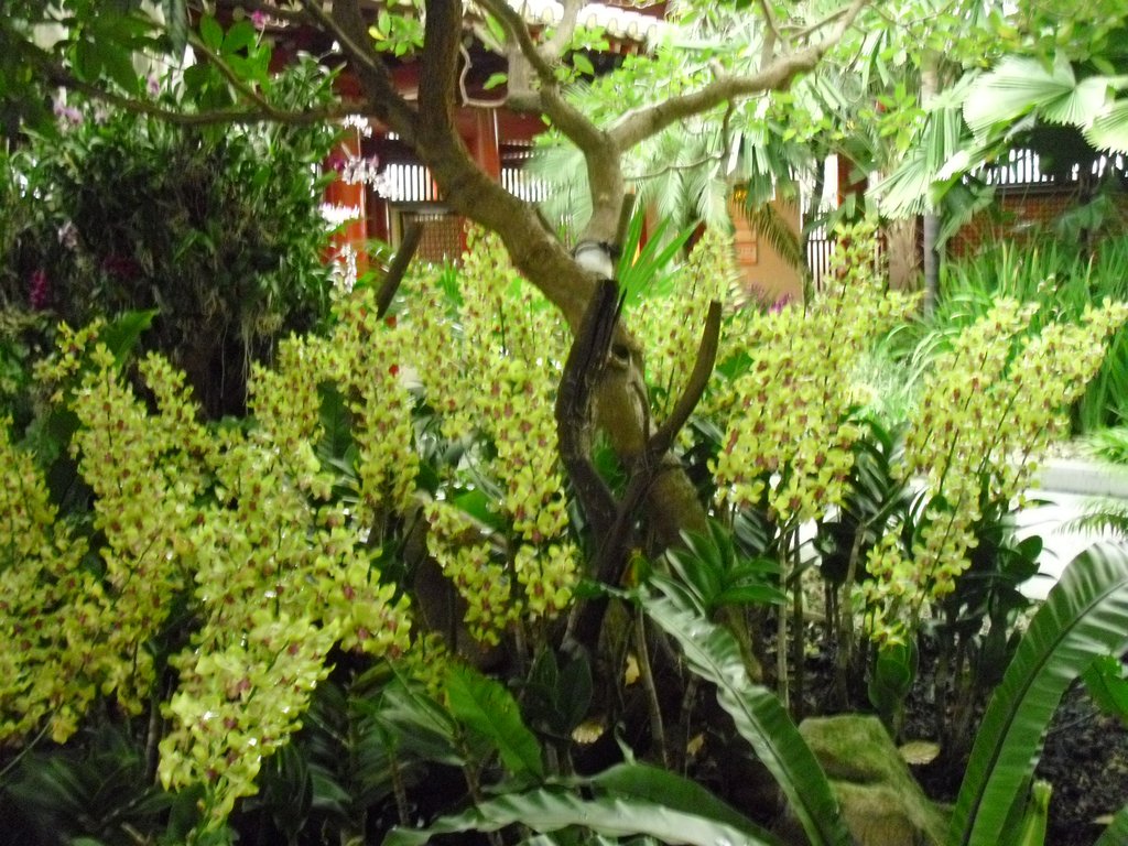 Image CIMG5311.JPG