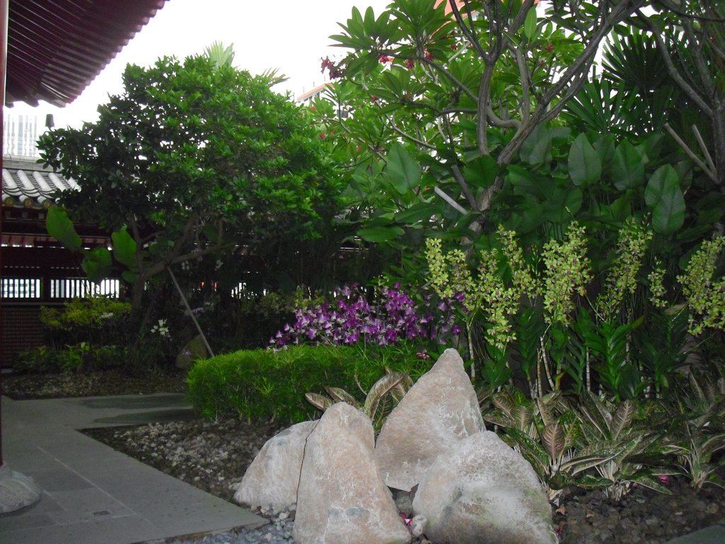 Image CIMG5313.JPG