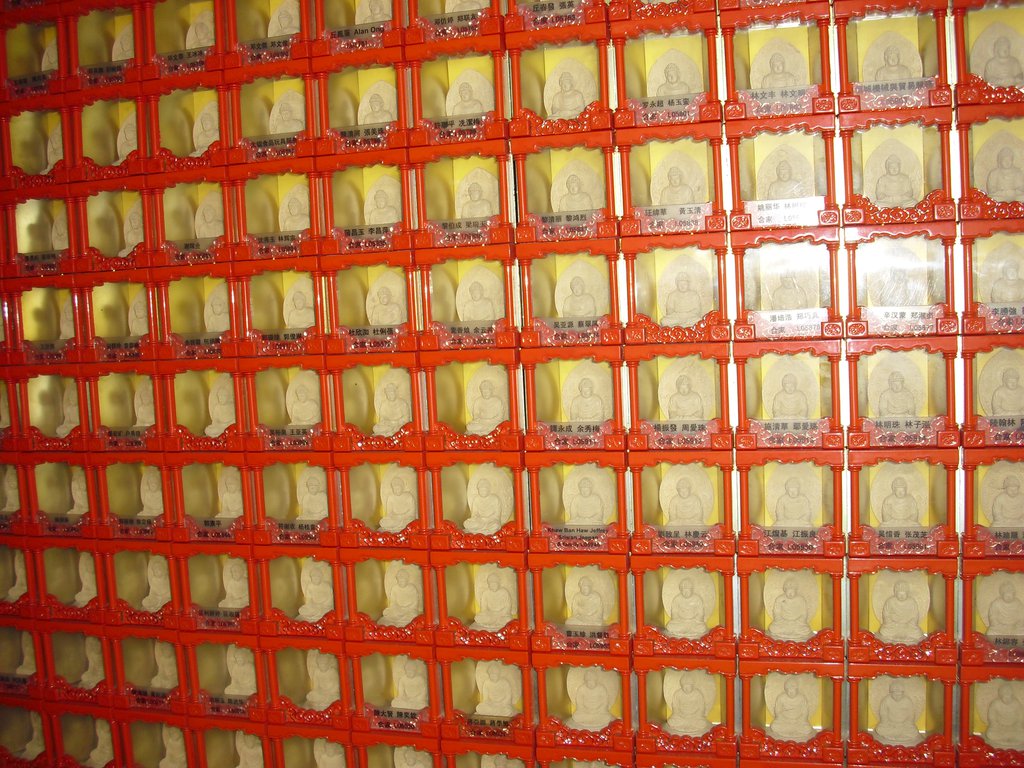 Image CIMG5316.JPG