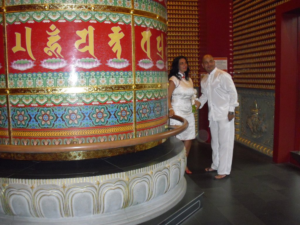 Image CIMG5319.JPG