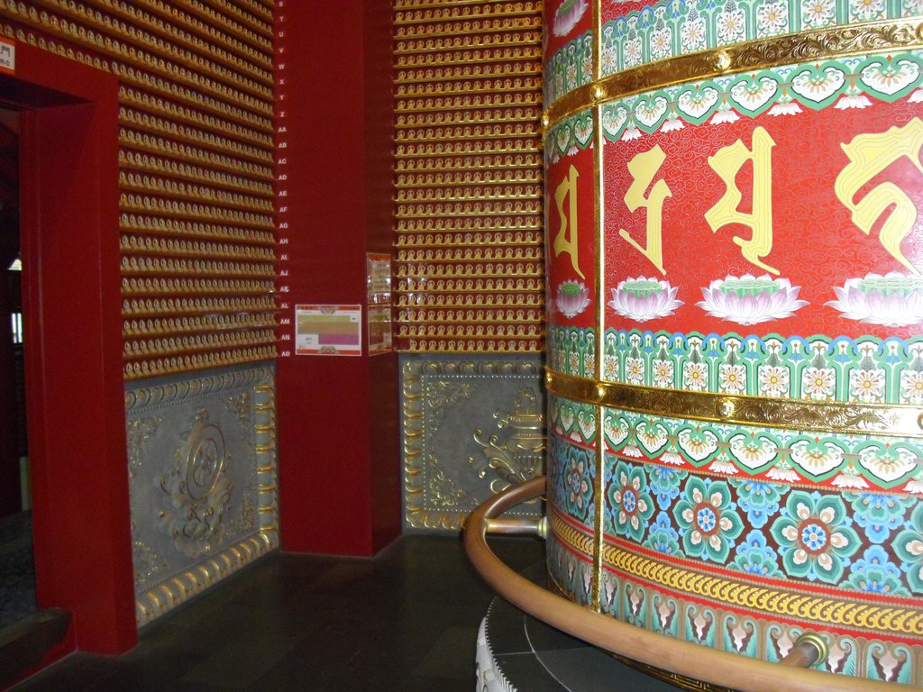 Image CIMG5320.JPG