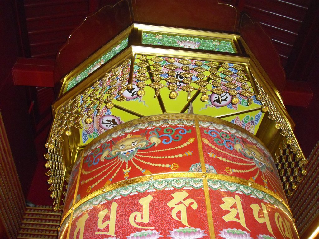 Image CIMG5322.JPG