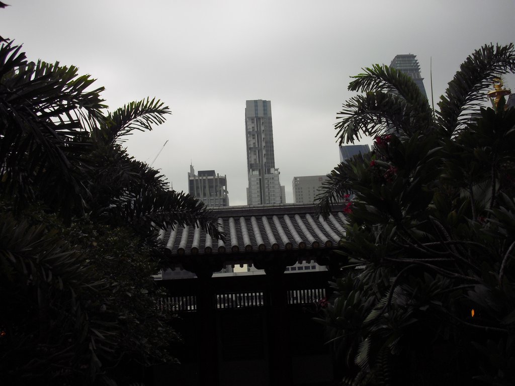 Image CIMG5323.JPG
