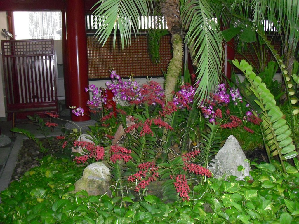 Image CIMG5325.JPG
