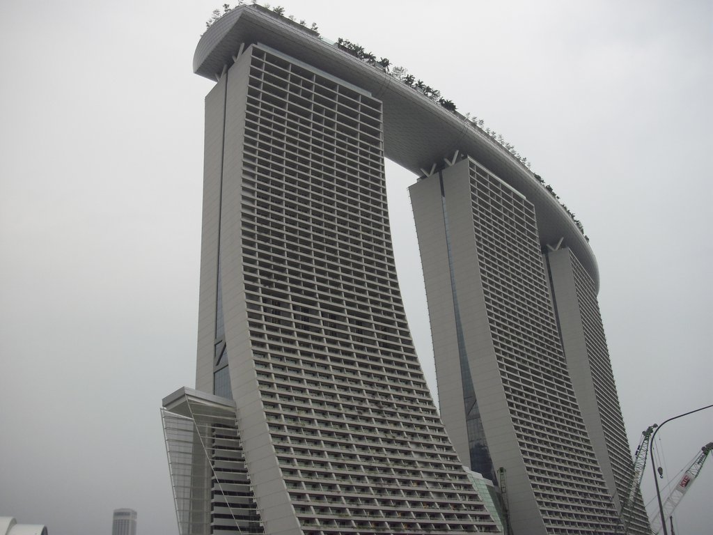 Image CIMG5333.JPG