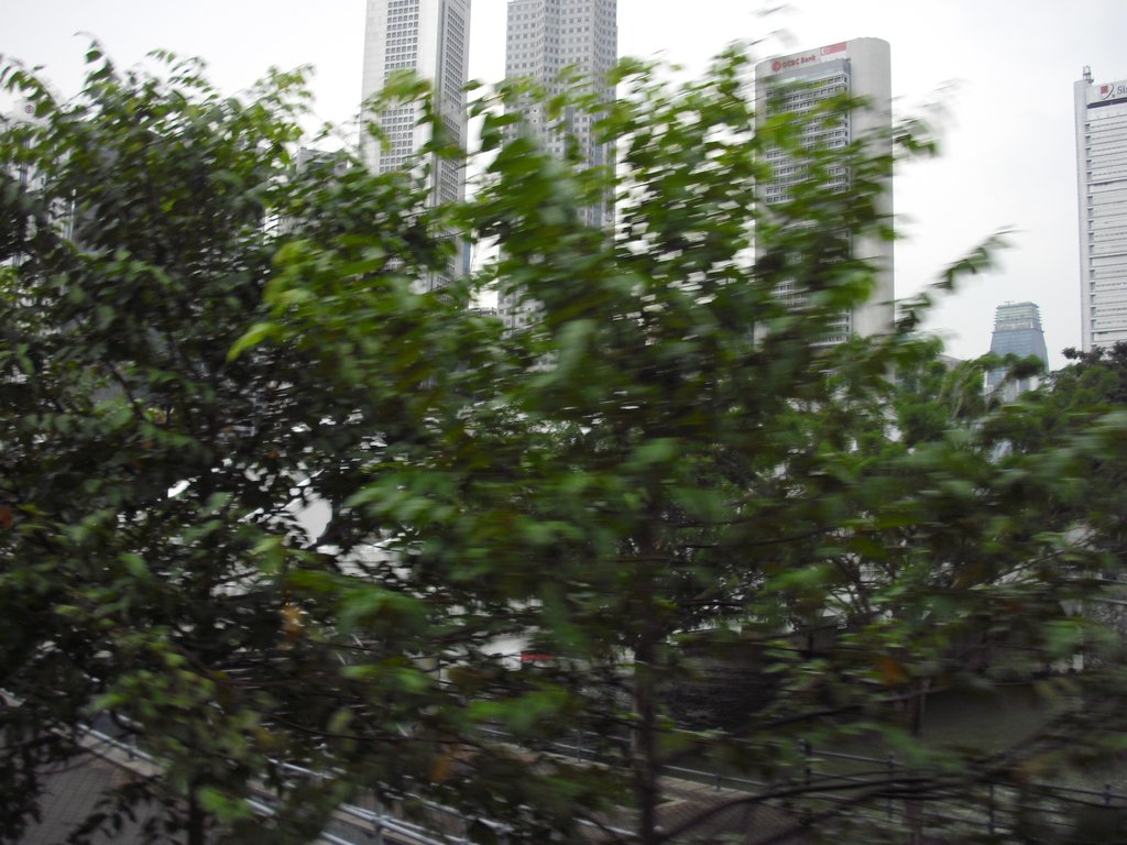 Image CIMG5343.JPG