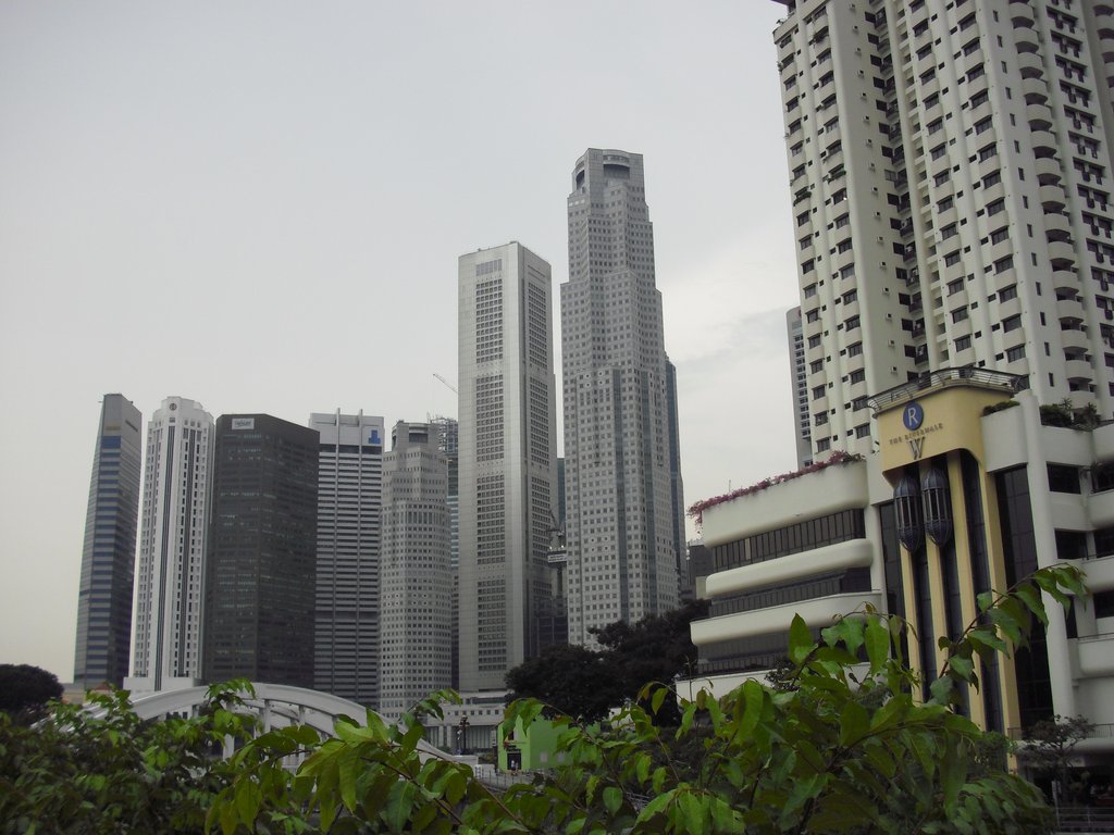 Image CIMG5347.JPG