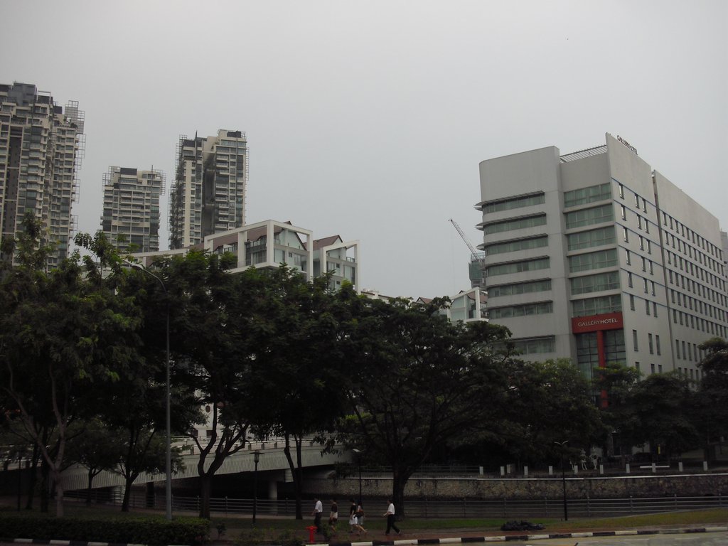 Image CIMG5353.JPG