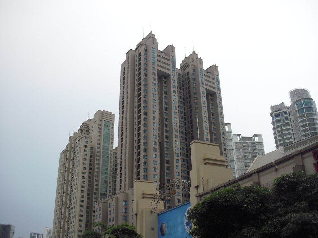 Image CIMG5357.JPG