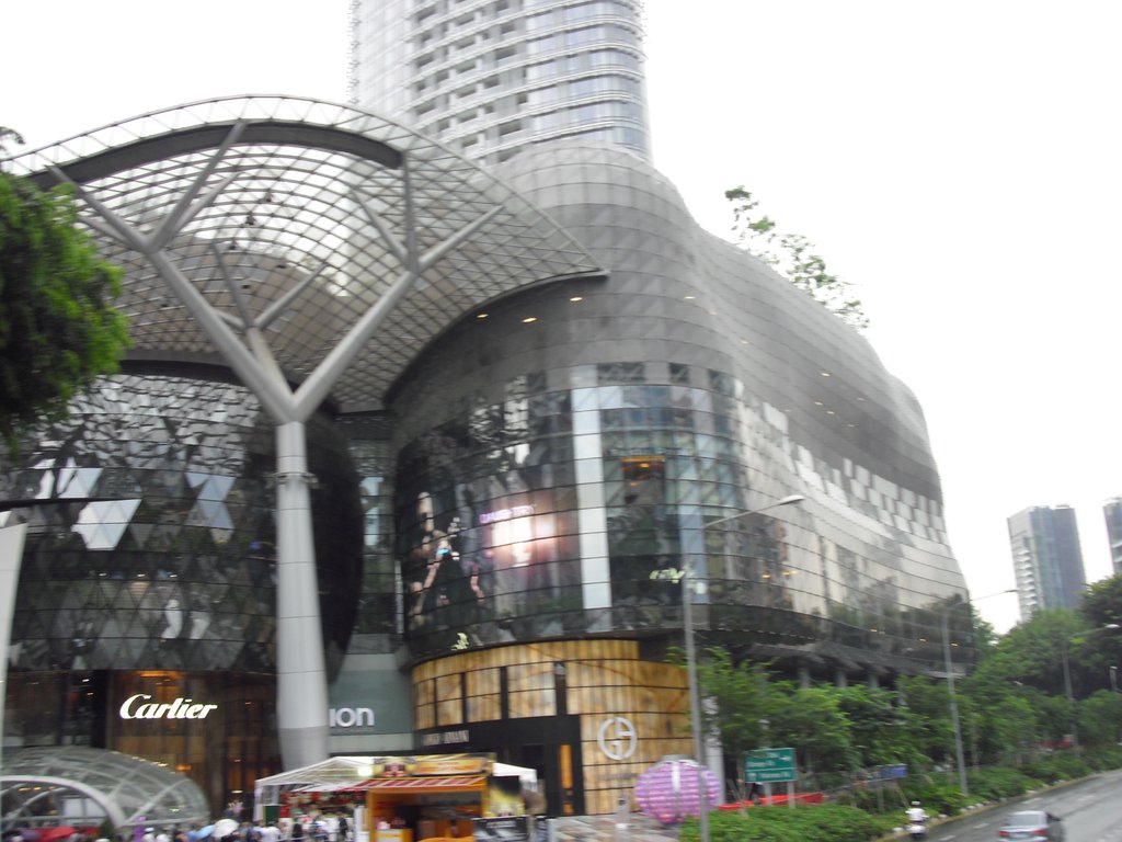 Image CIMG5361.JPG