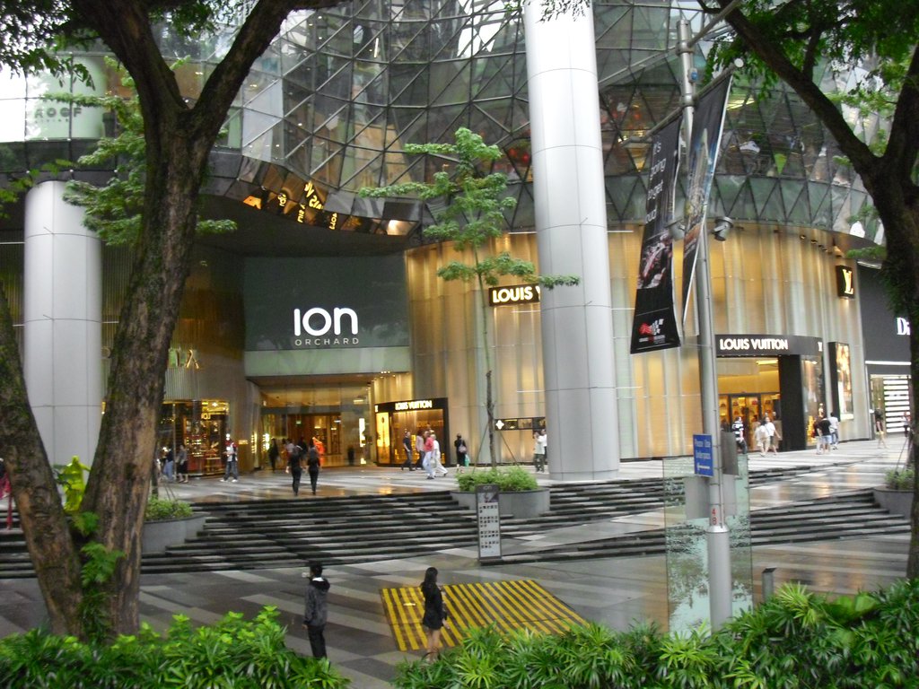 Image CIMG5362.JPG