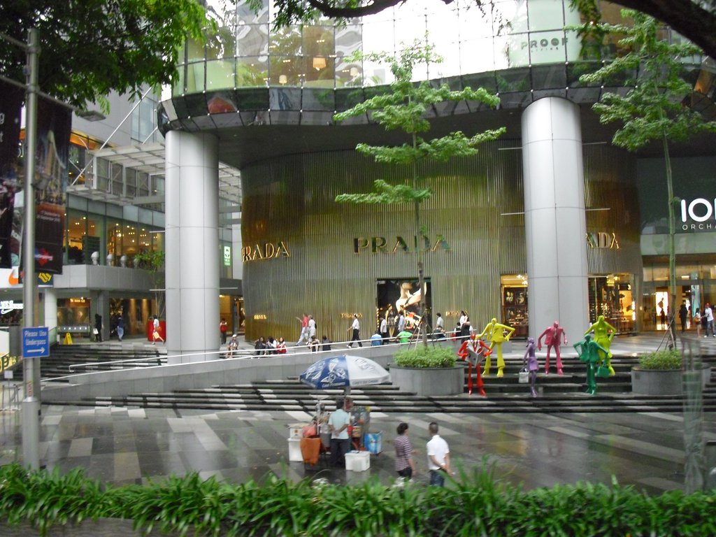 Image CIMG5364.JPG