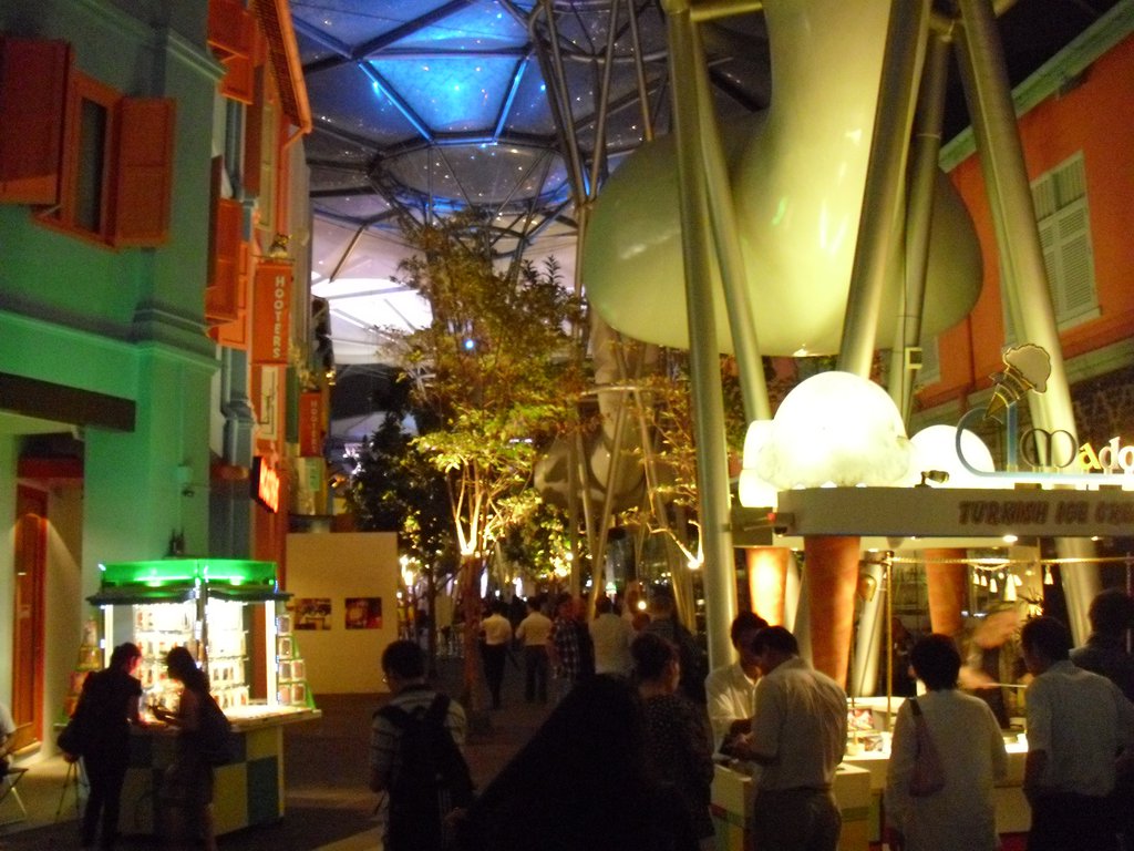 Image CIMG5392.JPG