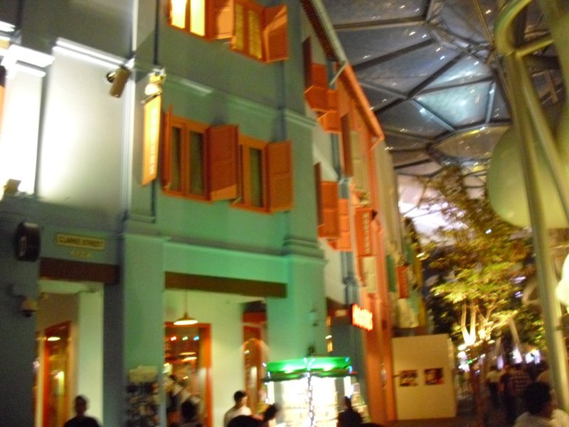 Image CIMG5393.JPG