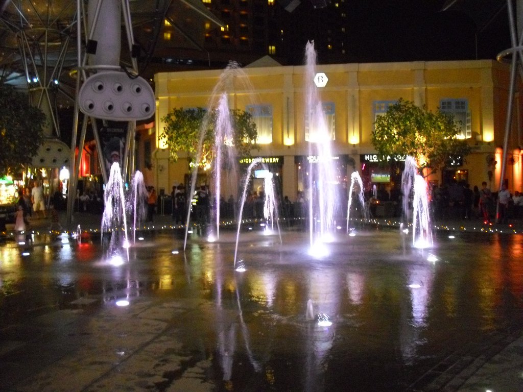 Image CIMG5396.JPG