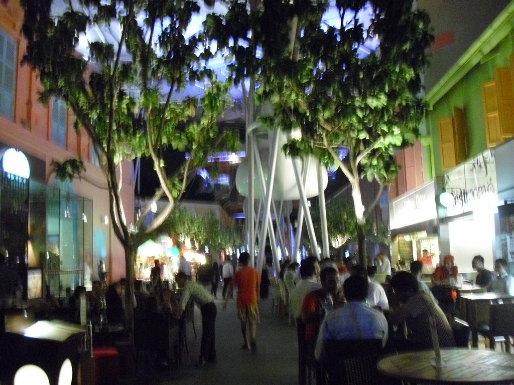Image CIMG5398.JPG