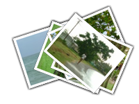 Jamaica album picture