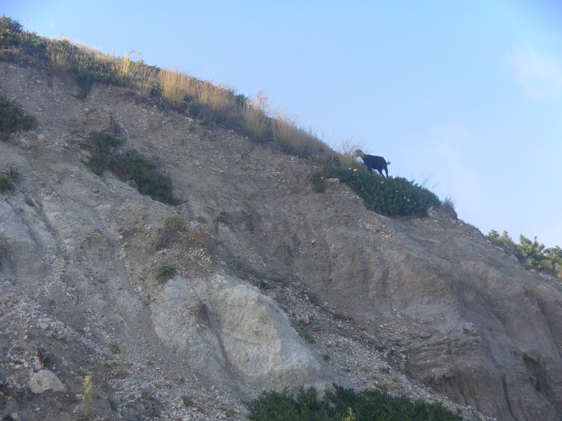 Image SAM_0735.JPG