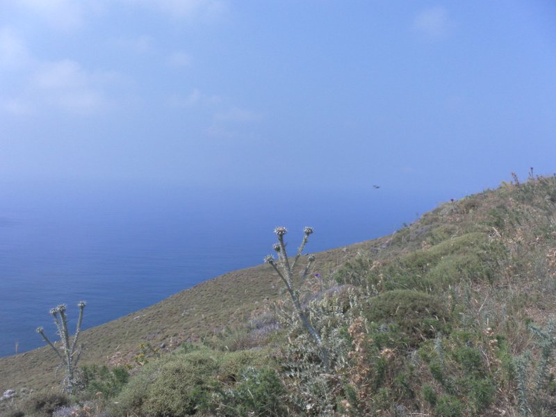 Image SAM_0742.JPG